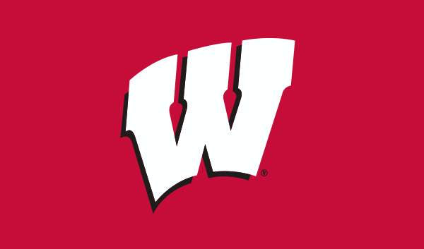 Wisconsin Badgers Flag (Applique)
