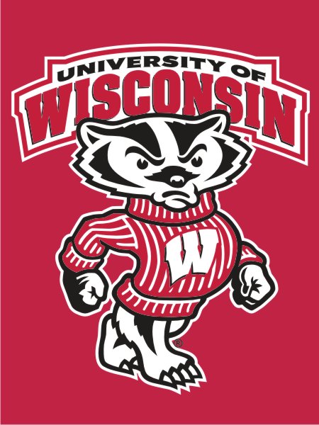 Badgers Mascot Banner Flag