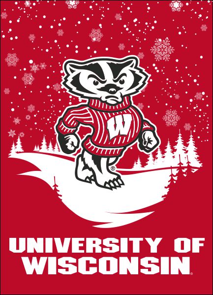 Badgers Winter Banner Flag