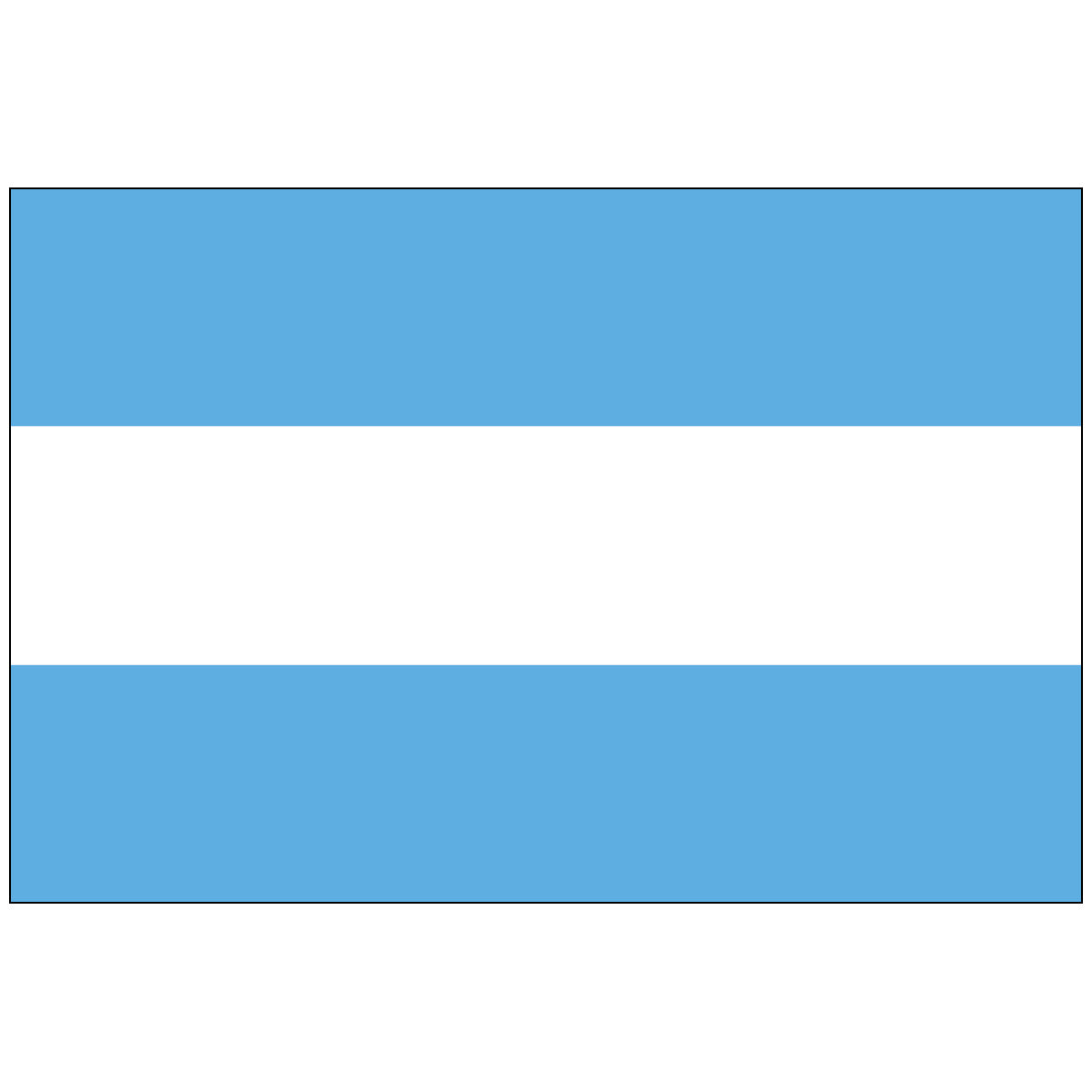 Argentina Flag (NO SEAL)