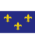 3' x 5' Fleur-De-Lis Blue-3 Flag - Nylon