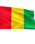 4' x 6' Guinea - Nylon