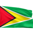3' x 5' Guyana - Nylon