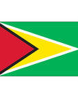 3' x 5' Guyana - Nylon