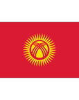 3' x 5' Kyrgyzstan - Nylon