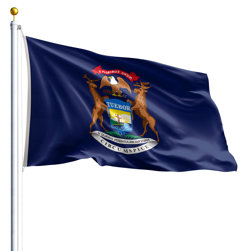 Michigan Flag