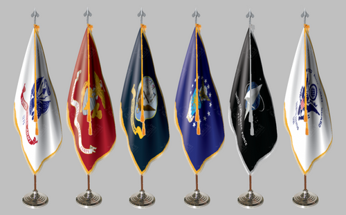 Space Force Flag (Indoor)