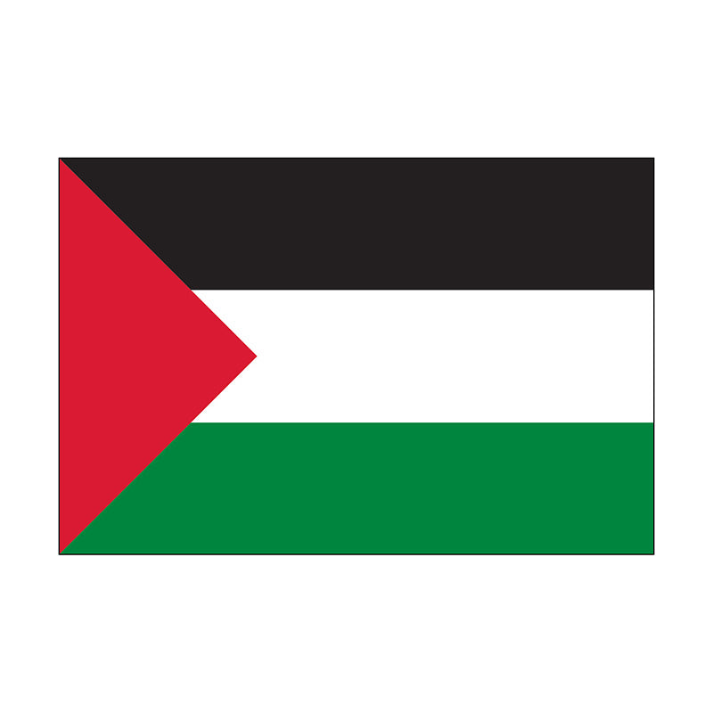 4' x 6' Palestine - Nylon