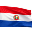 4' x 6' Paraguay - Nylon