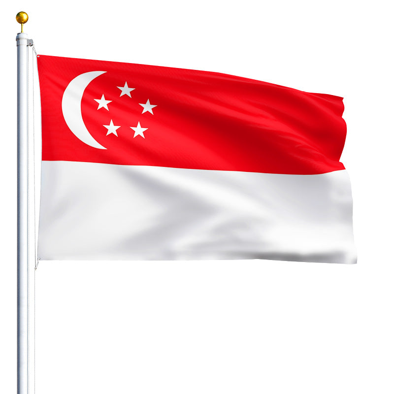 6' x 10' Singapore - Nylon