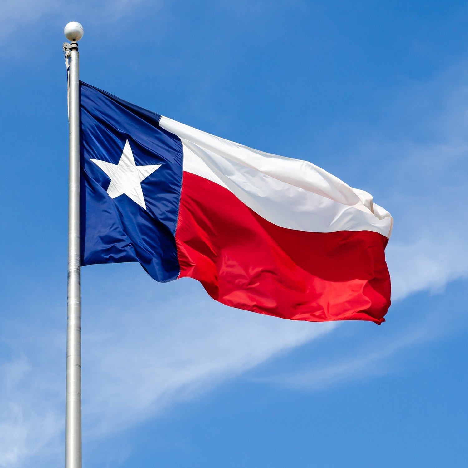 Texas Flag