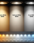 Flagpole Uplight (Basic)