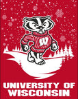 Badgers Winter Banner Flag