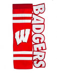 Badgers Applique Banner Flag