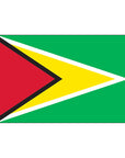 3' x 5' Guyana - Nylon