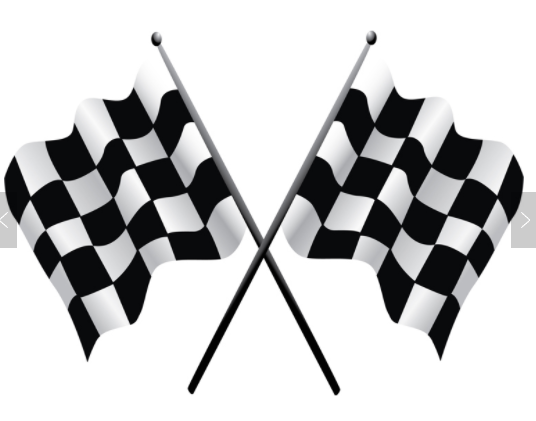 Checkered Stick Flag – National Flag & Pole, LLC