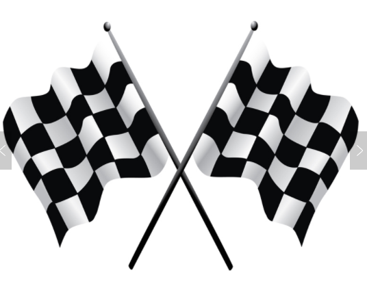 Checkered Stick Flag